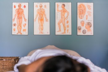 Massage Reference Charts Art