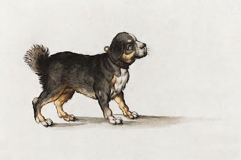 Mastiff dog (1584&ndash;1604) aesthetic drawing | Free Photo - rawpixel