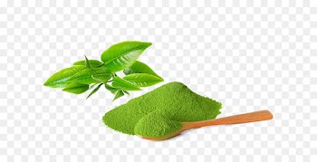 Matcha Green tea Tea plant Ice cream - matcha 