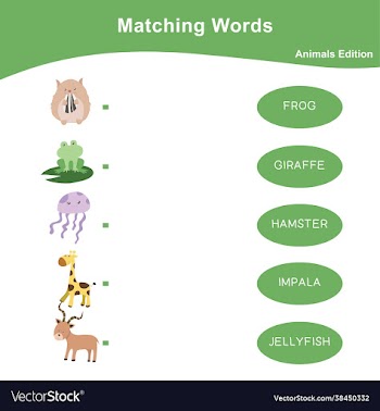 matching words game animals edition