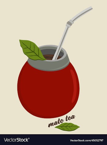 mate tea isolated