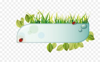 Material Icon - Creative grass green leaf beetle 