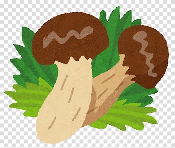 Matsutake Shimeji Mushroom Food Hen-of-the-wood, mushroom transparent background PNG clipart