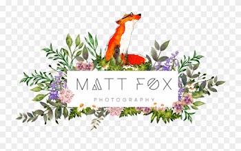 Matt Fox Photography - Matt Fox Photography