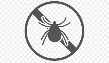 Mattress Protectors Bedding Diaper - Dust Mite 