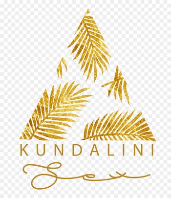 Maui Kihei Engagement Film Wedding - kundalini silhouette 