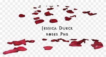 Maureenolder 1,904 964 Roses Petals Png I By Starscoldnight - Rose Petals On Floor Png
