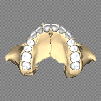 Maxilar Inferior PNG transparente - StickPNG