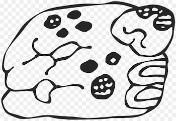 Maya civilization Maya jaguar gods Mesoamerica Symbol - jaguar 