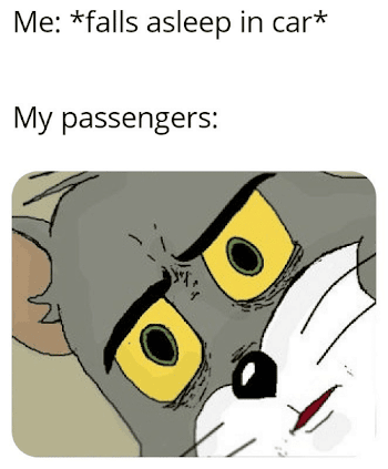 Me *Falls Asleep in Car* My Passengers | Car Meme on ME.ME