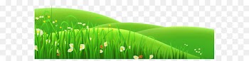 Meadow Euclidean vector Clip art - Transparent Flowers and Grass PNG Clipart 