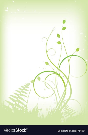  					Meadow wild plants vector image														