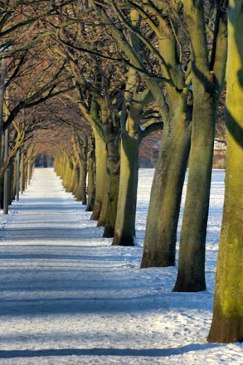 meadows_hdr1.jpg