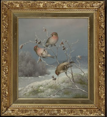 Mealy redpolls, 1889, by Ferdinand | Free Photo - rawpixel