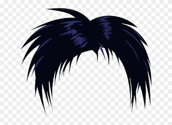 Meanwhile, Indian Entire Lace Wigs Are Known For Getting - Human Hair Clipart