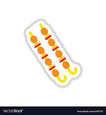 Meat kebab grilledmutton steaks on skewers vector image