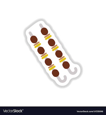 Meat kebab grilledmutton steaks on skewers vector image