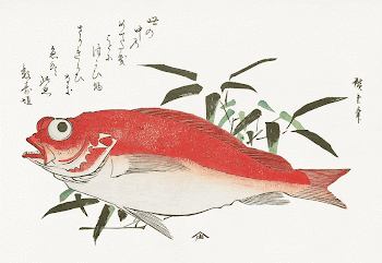 Medetai Fish and Sasaki Bamboo, | Free Photo Illustration - rawpixel