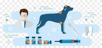Medical &amp; Preventive Care - Dog Catches Something