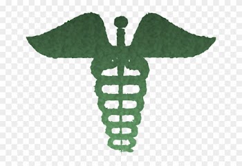 Medical Caducius Clipart Staff Of Hermes Caduceus As - Hospital Symbol