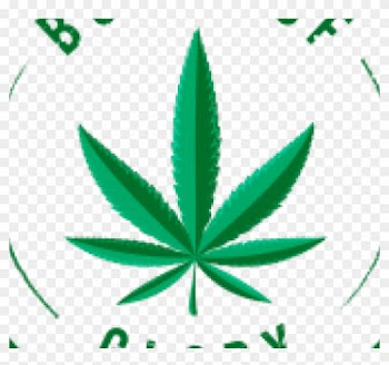 Medical Cannabis Cannabidiol Medical Marijuana Card - Medical Cannabis Cannabidiol Medical Marijuana Card