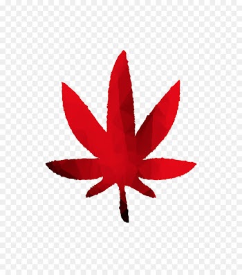 Medical cannabis Cannabis industry Cannabis shop Hash Marihuana & Hemp Museum in Amsterdam -  