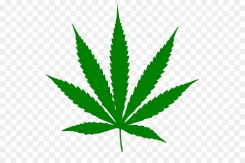 Medical cannabis Cannabis sativa Marijuana Hemp - cannabis leaves 