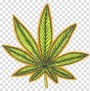 Medical cannabis Cannabis smoking Computer Icons, marijuana transparent background PNG clipart