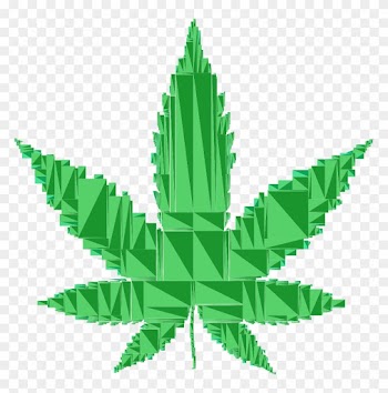 Medical Cannabis Cannabis Smoking Drug - Medical Cannabis Cannabis Smoking Drug
