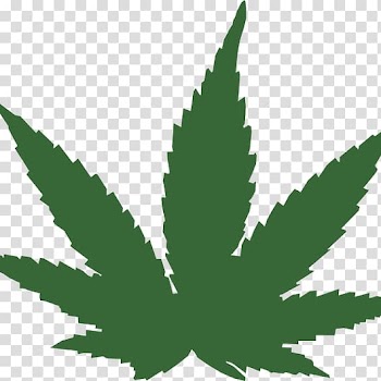 Medical cannabis Computer Icons , cannabis transparent background PNG clipart