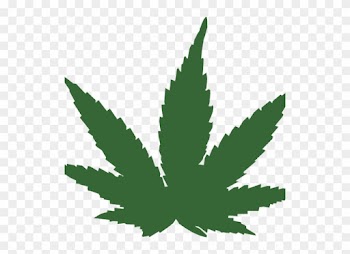 Medical Cannabis Computer Icons Clip Art - Marijuana Clip Art Png