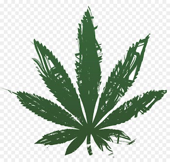 Medical cannabis Hemp Tetrahydrocannabinol - hemp leaves 