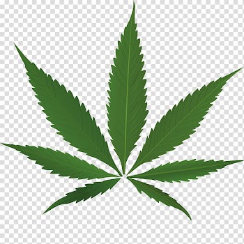 Medical cannabis , illegal drugs transparent background PNG clipart