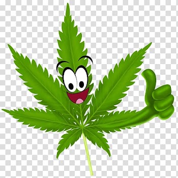 Medical cannabis Legality of cannabis Drug Medical marijuana card, cannabis transparent background PNG clipart
