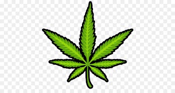 Medical cannabis Marijuana - cannabis 