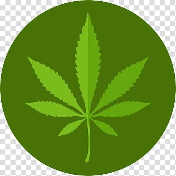 Medical cannabis Medical marijuana card Kush, Canabis transparent background PNG clipart