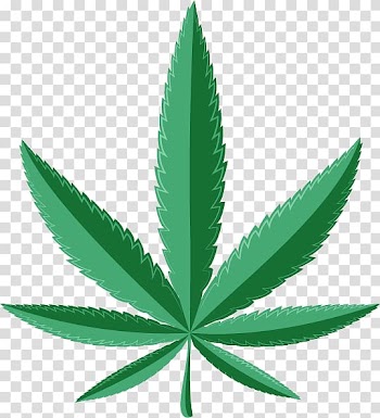 Medical cannabis Medicine Cannabis cultivation Leafly, house Rules transparent background PNG clipart