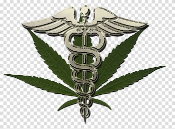Medical cannabis Medicine Dispensary Cannabidiol, cannabis transparent background PNG clipart