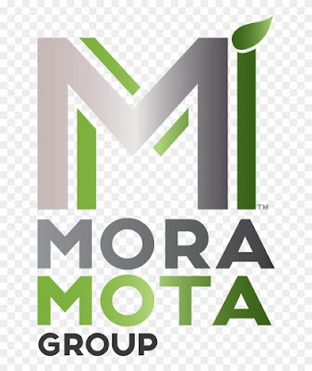 Medical Cannabis News Across The World Mora Mota Group - Graphic Design