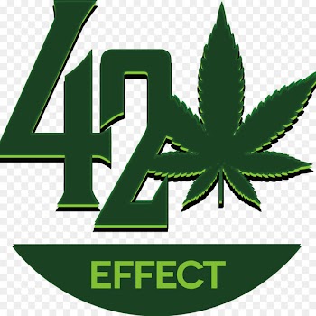 Medical cannabis Social networking service Cannabis Cup Cannabis sativa - cannabis 