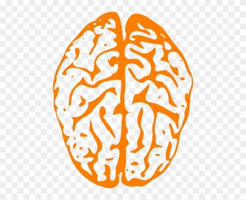 Medical Diagram Of Brain Clip Art Free Vector / 4vector - Animated Brain