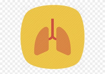 Medical Health Square Rounded Vol By Dinosoftlabs - Medical Health Square Rounded Vol By Dinosoftlabs