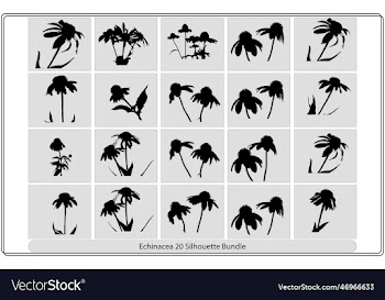 medical herbs flat glyph icons medicinal plants