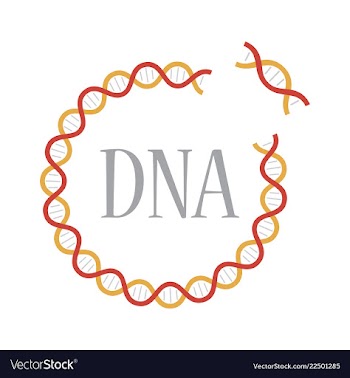 Medical icon set and brain with dna pain and vector image