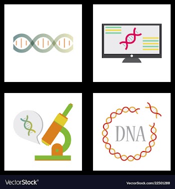 Medical icon set and brain with dna pain and vector image
