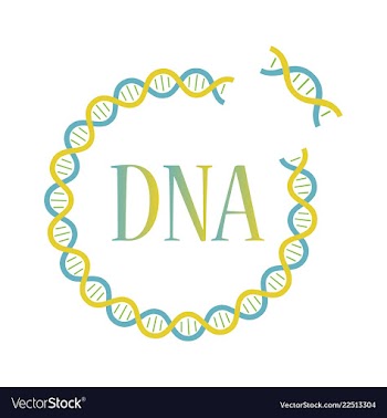 Medical icon set and brain with dna pain and vector image