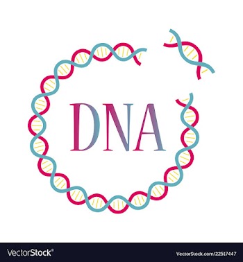 Medical icon set and brain with dna pain and vector image
