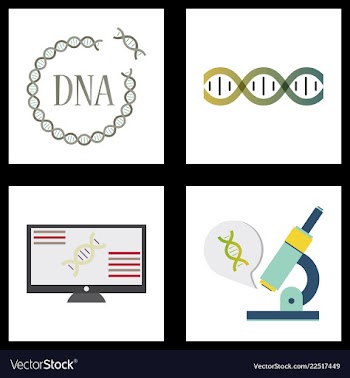 Medical icon set and brain with dna pain and vector image
