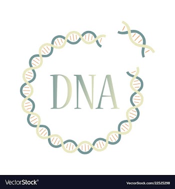 Medical icon set and brain with dna pain and vector image