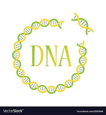 Medical icon set and brain with dna pain and vector image